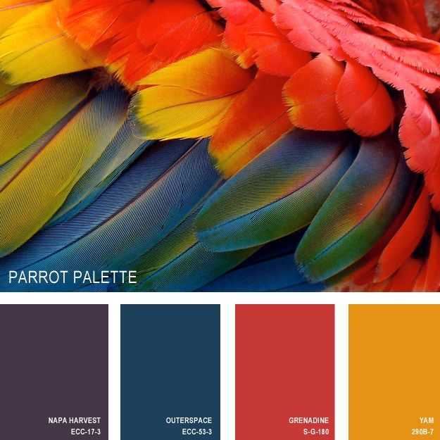 11 Beautiful Color Palettes Inspire