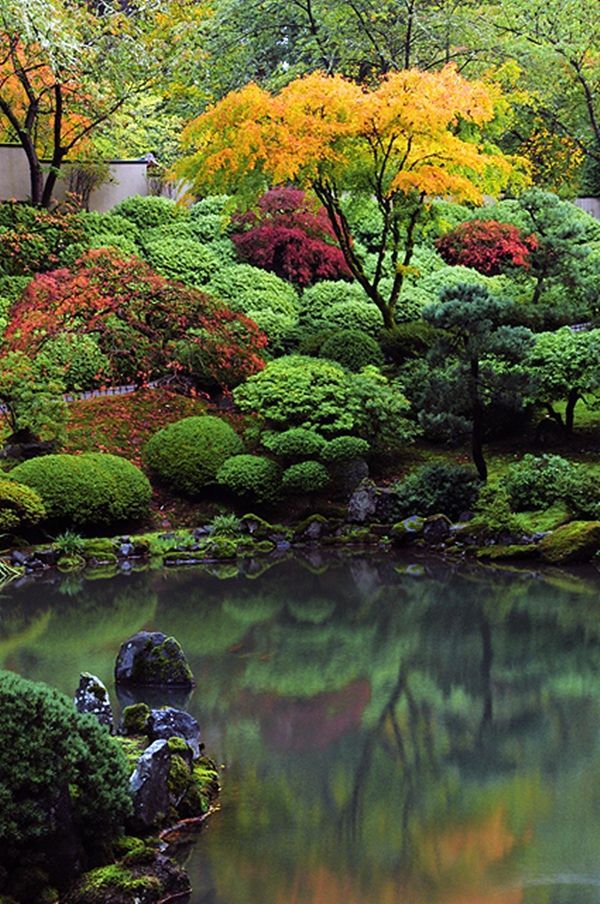 Portland Japanese #garden #Fall Fol
