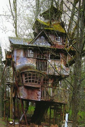 Abandoned Tree House With Moss Now