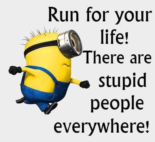 Best Funny Minions Quotes and Jokes     When are these random minion posts going to be