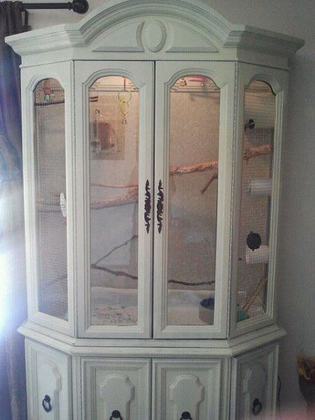 DIY china hutch habitat for birds or maybe sugargliders. I dont think I will ever have sugar gliders again, but if I do this is absolutely the home I would want for them!