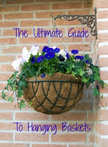 The Ultimate Guide to Hanging Baskets | Greener on the