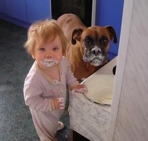 Boxer and baby, I love these kinds of pictures