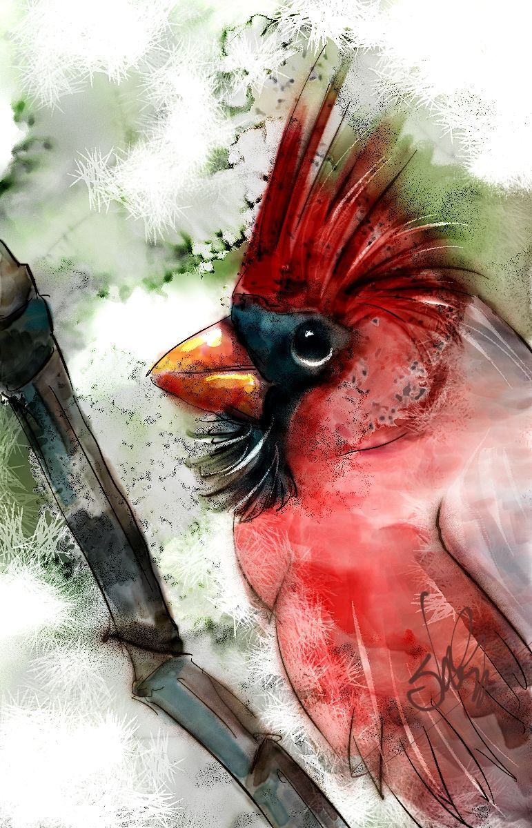 Cardinal – Painter Video