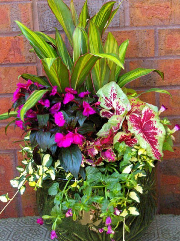 Colorful Shade Container