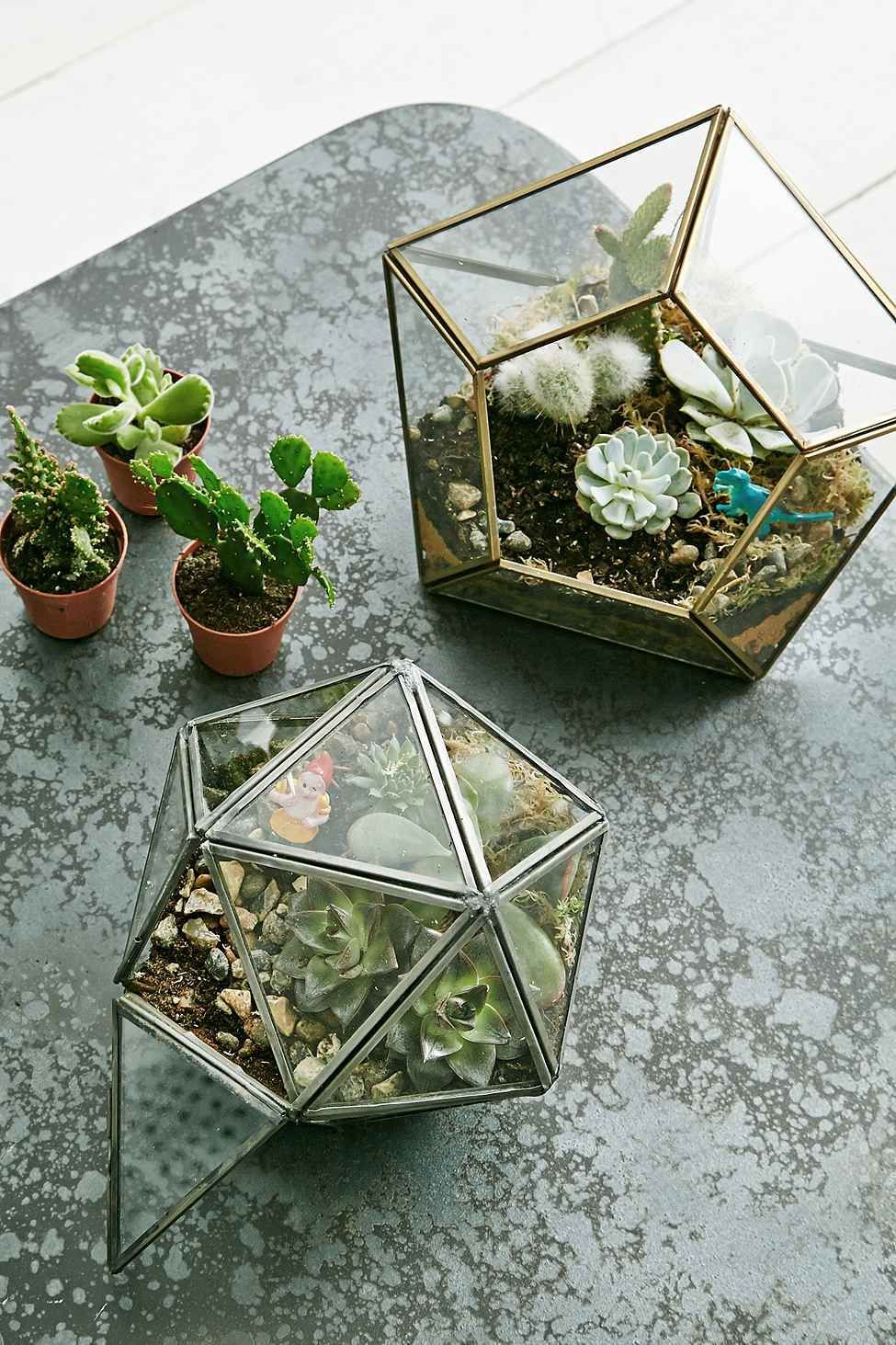 Diamond Terrarium Planter