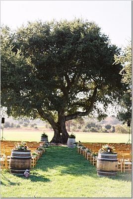 For a beautiful (and inexpensive) ceremony, find a friend or family member with a giant, shady tree in their