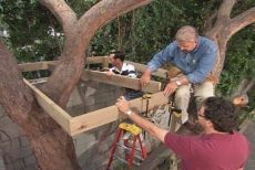 How to build a Tree House (