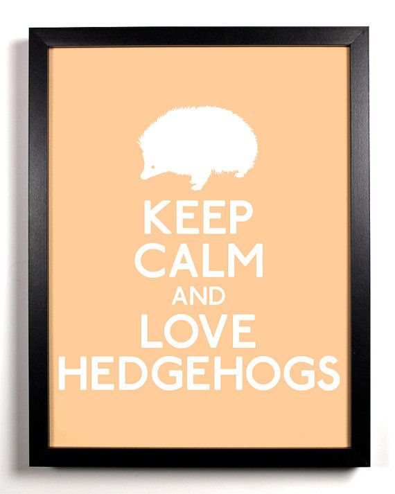 Keep Calm and Love hedgehog