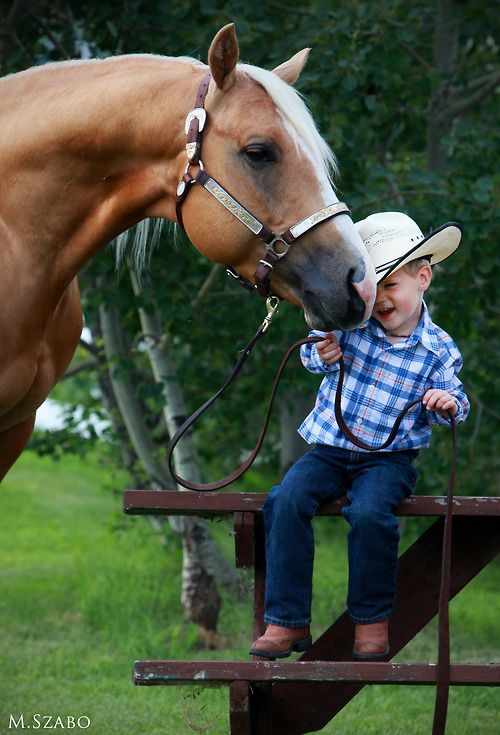 Little cowboy and horse…t