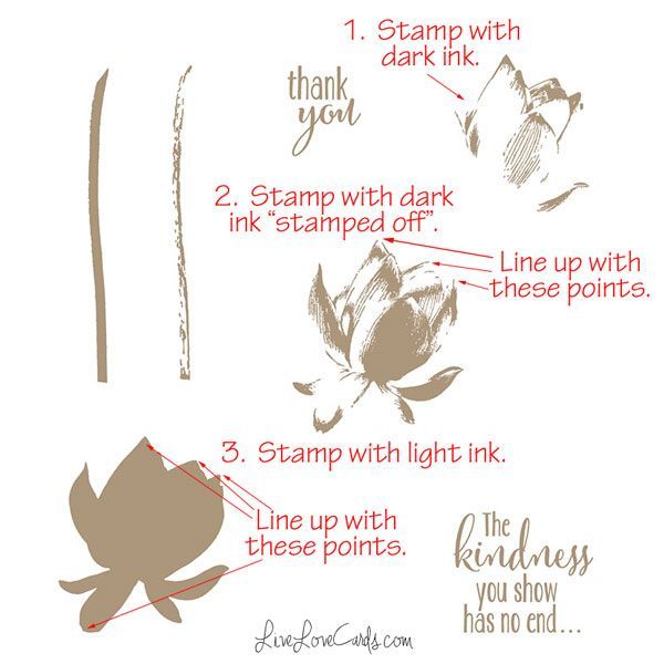 Lotus Blossom Instructions