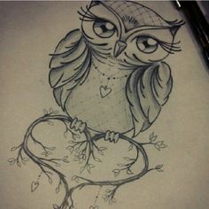 owl drawing – would make a