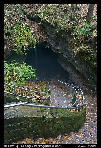Steps leading down into the longest known cave in the world: Mammoth Cave NP,