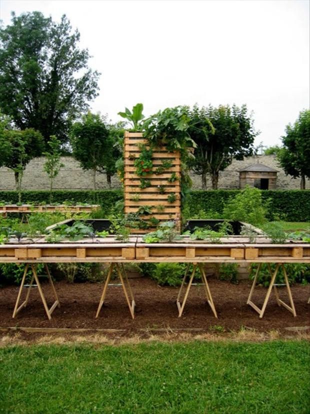 table top gardening with pallets wow this would be great too bad I didnt find this 8 years ago