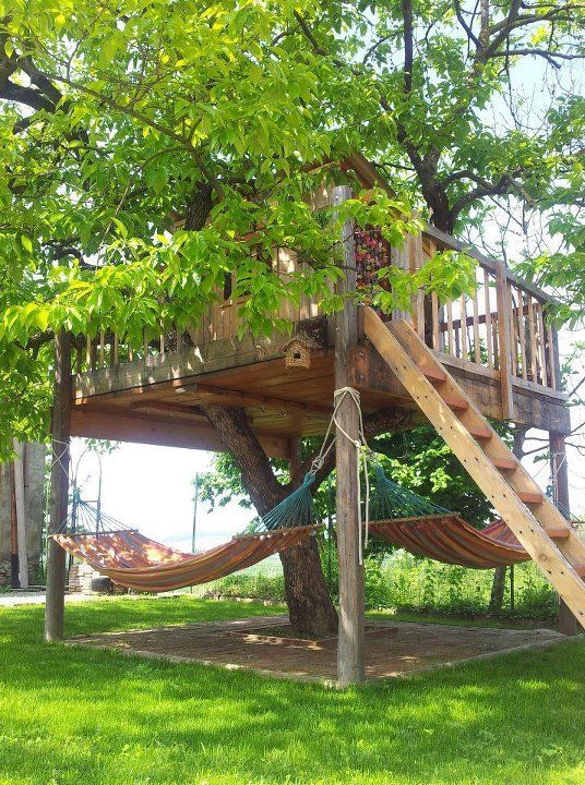Treehouse fort and hammocks
