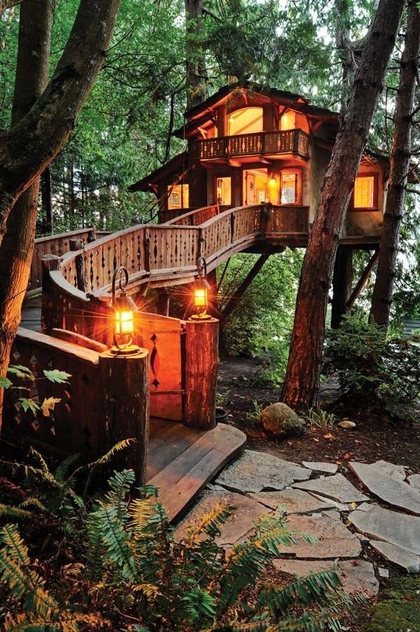 Explore this stunning treetop escape in Seattle! (Photo by Will Austin via Seattle Met