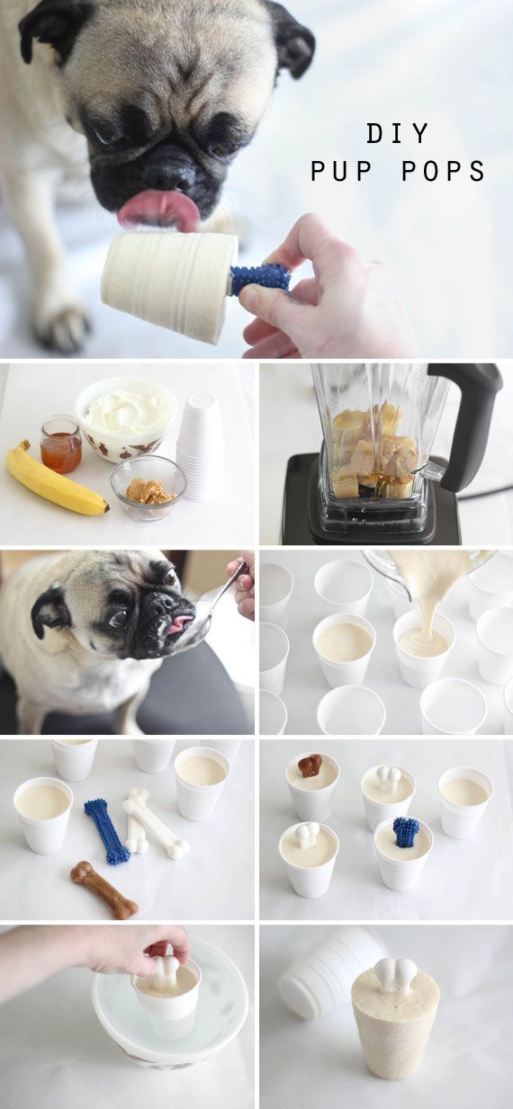 Help your pets keep cool this summer with a tasty Pup Pop. Im actually just pinning this because theres a pug. And pugs are