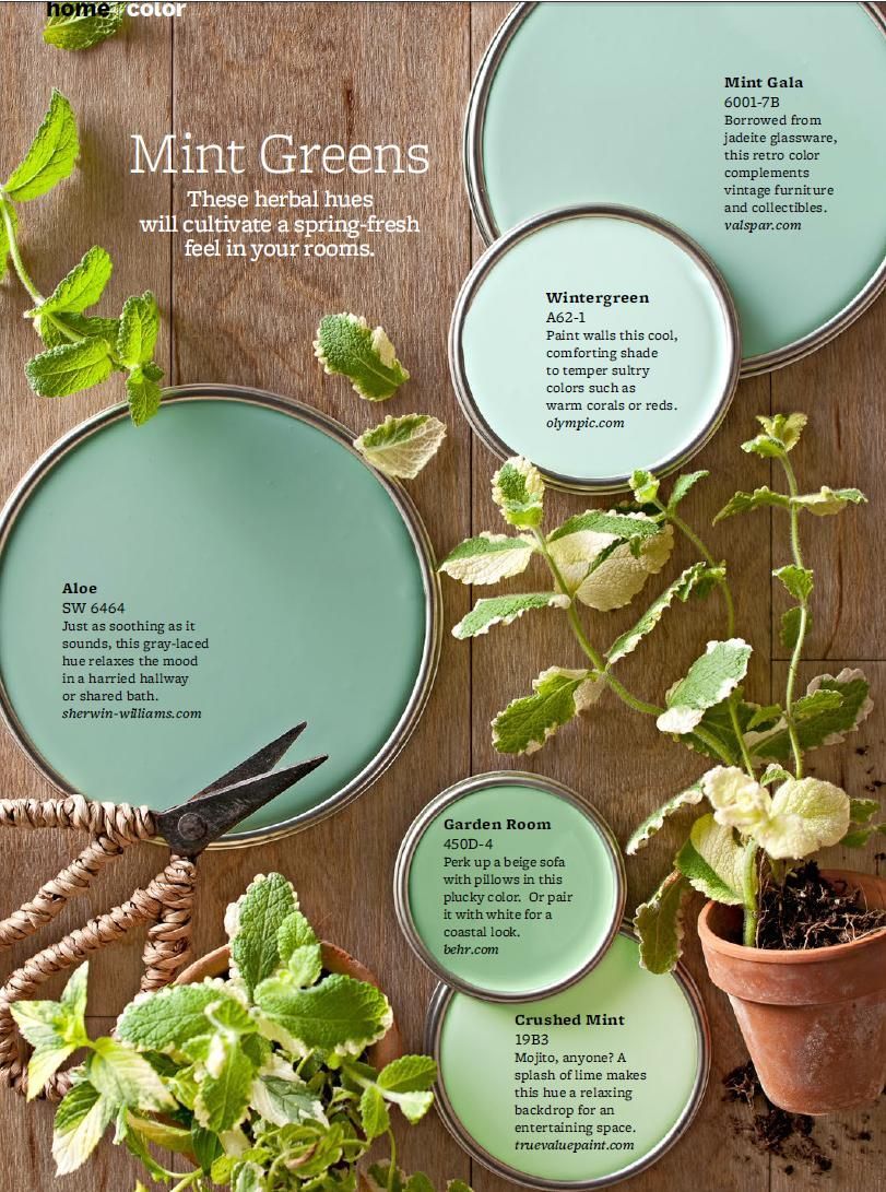 Mint Green Paint Colors – On-trend, but completely livable, take a cue from these mint green paint colors to soothe any room. “Mint greens are happy colors that work in a lot of different