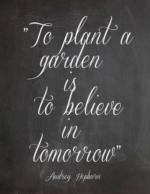 Motivational wallpaper with quote To plant a garden is to believe in tomorrow by Audrey Hepburn Motivational wallpaper with quote on Hope for tomorrow: To plant a garden is to believe in tomorrow