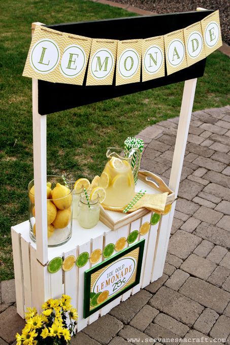 DIY lemonade stand, grocery