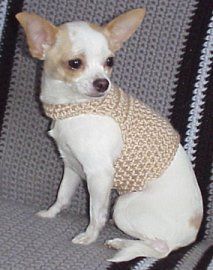 Dog Sweater – Binky – This