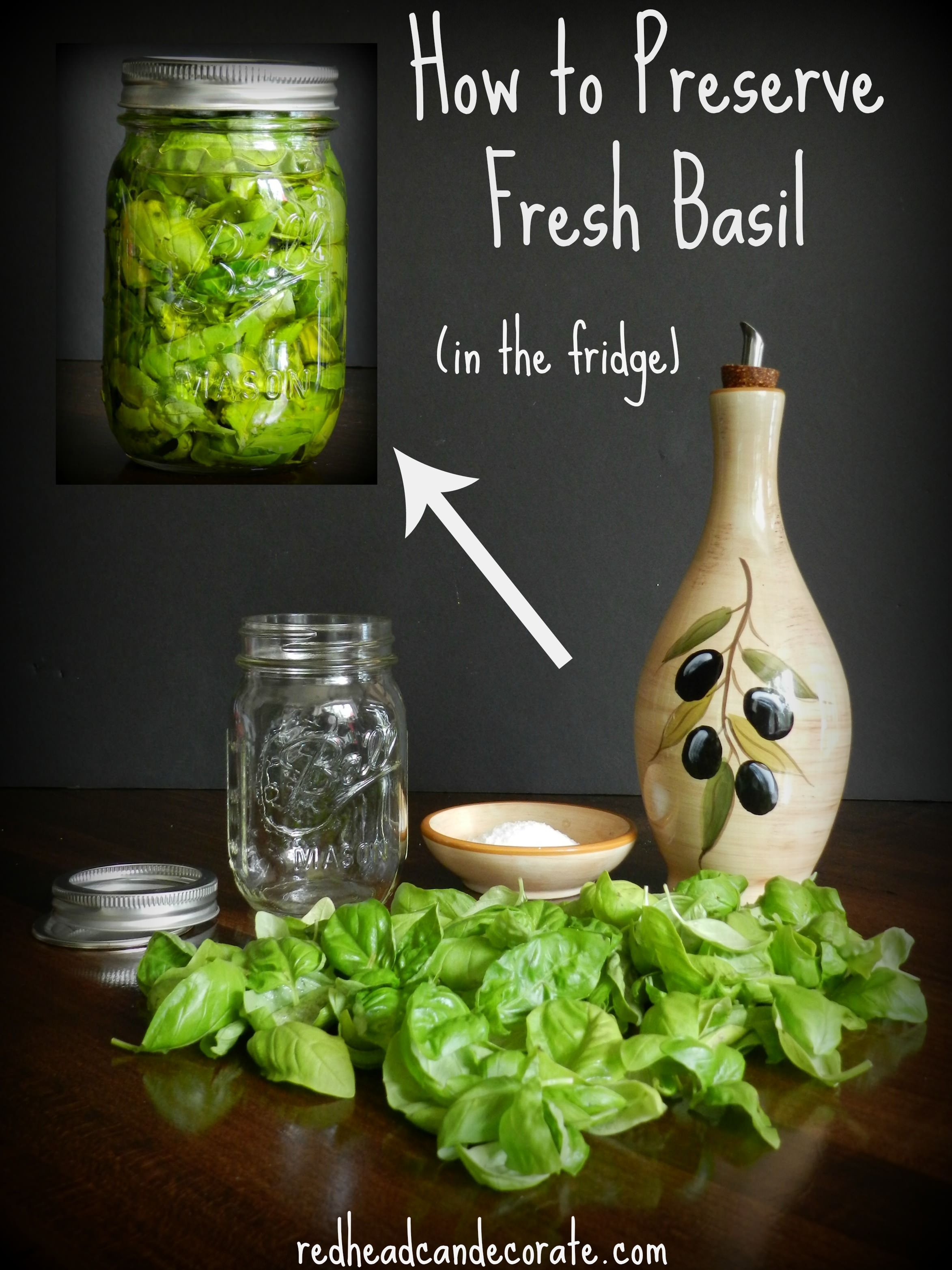 How to store fresh basil fo