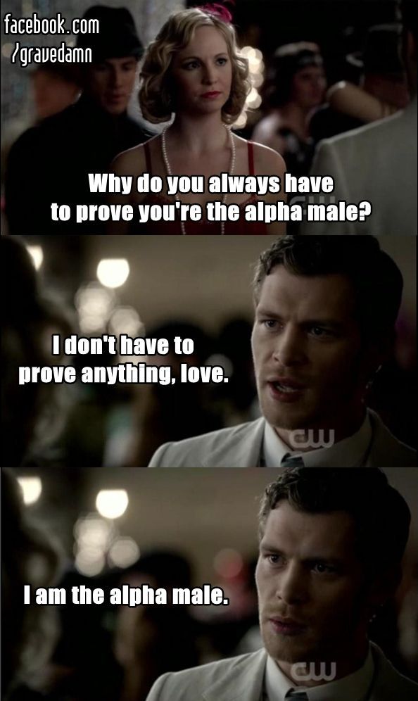 Klaus IS the alpha male! Ha