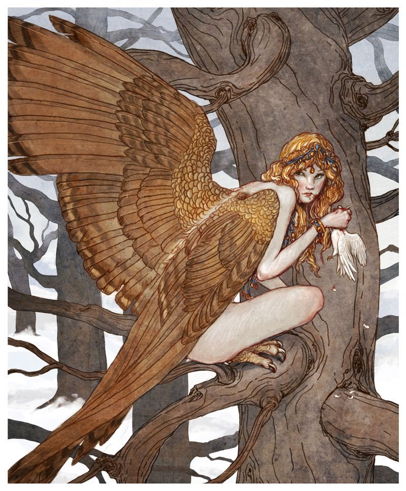 Amazing Fairy Tale Art from a Biology PhD – Wings Reference
