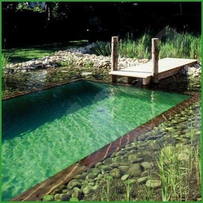 diy natural swimming pool – the plant zones on the side of the main swimming area filters the water, no need for chlorine, salt,