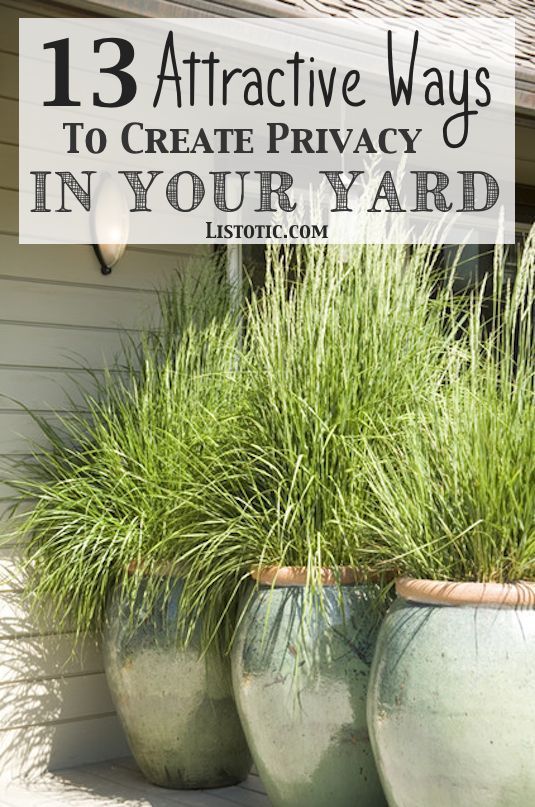 How to easily add privacy to a yard, deck or patio! I like 2, 6, 8, 9, 14. I love our neighbors but we do like privacy and plants!