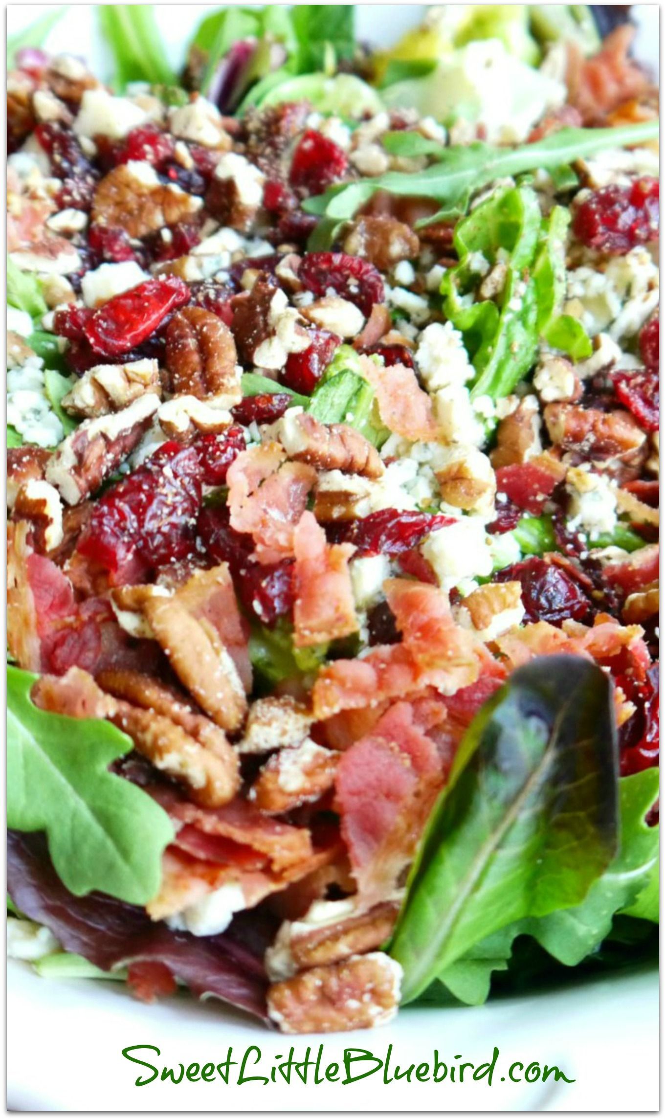 MY #1 MOST REQUESTED SALAD {Made with Gorgonzola, Apple, Dried Cherries, Toasted Pecans and Bacon topped with a Sweet Balsamic