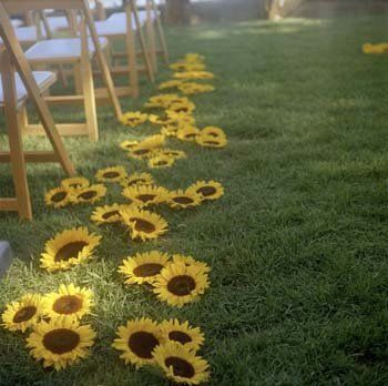 Sunflower aisle runner @SarahDanek s wedding