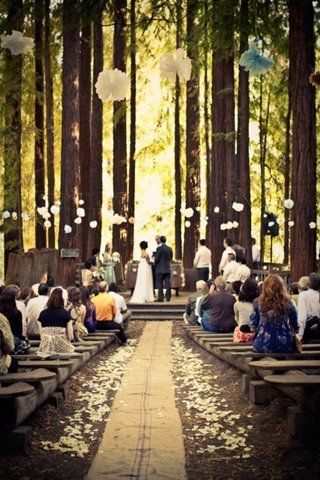 This is the perfect Twilight themed wedding! I hope to plan something like this one day!!