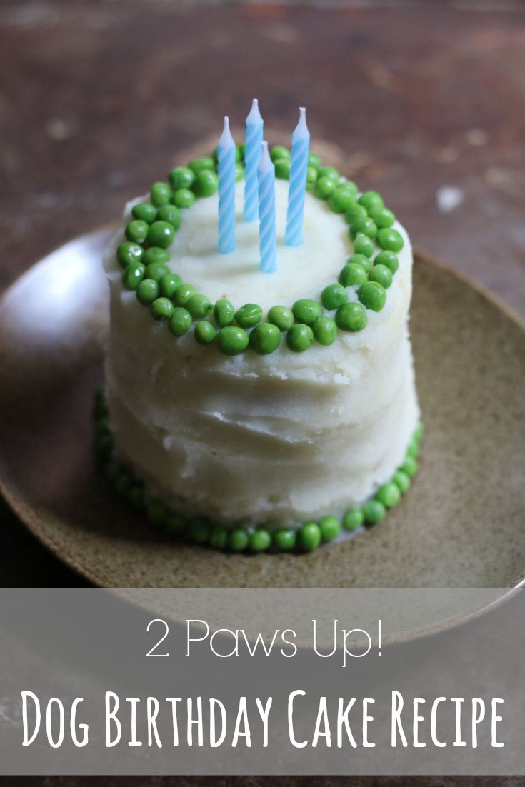 Dog Birthday Cake Recipe  Its like a Shepards Pie!