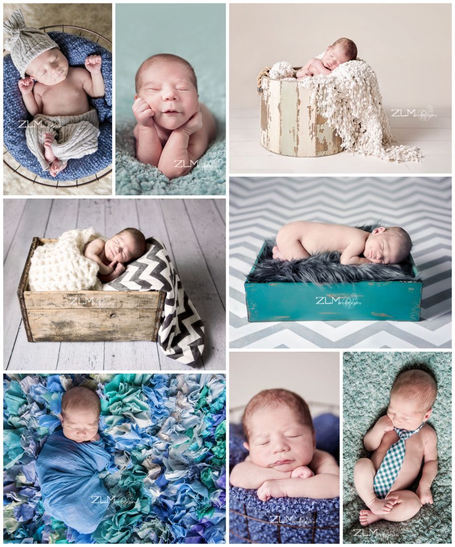 newborn poses ZLM photography