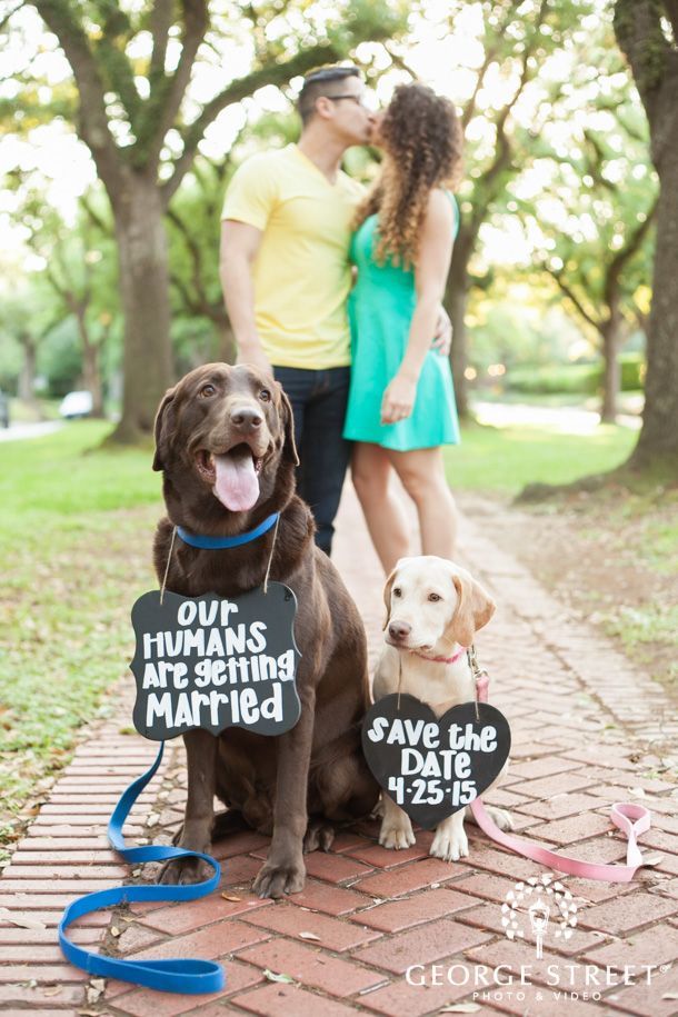 Nothing better than including your pups in your engagement session :)
