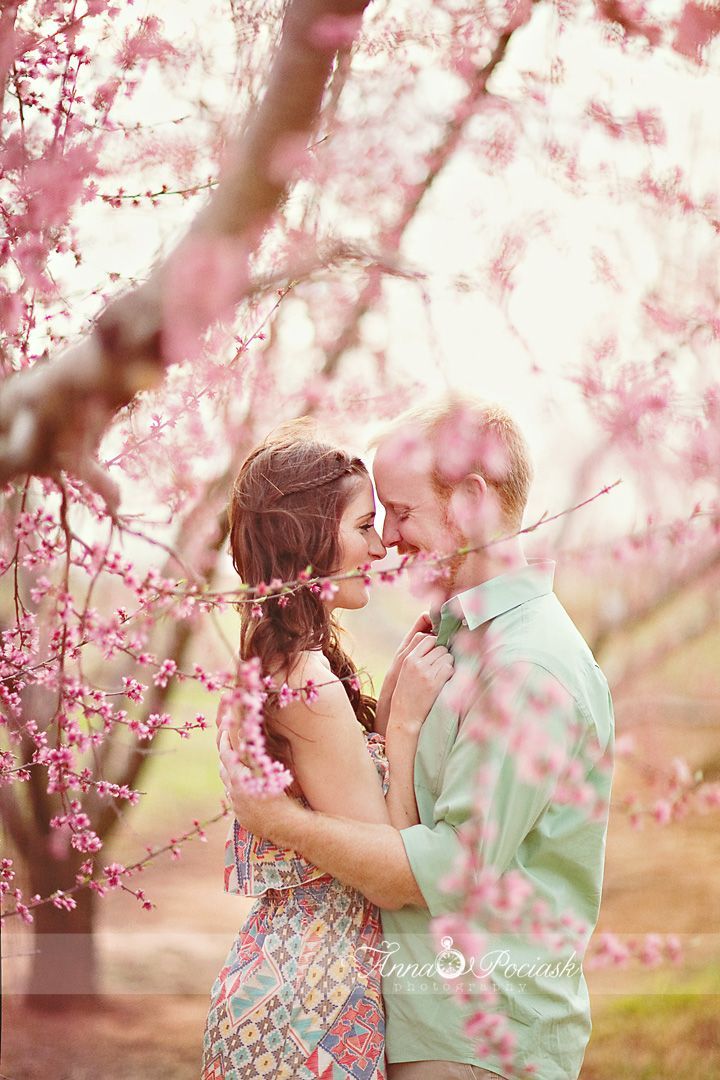 anna pociask photography. spring. orchard. couples photography.
