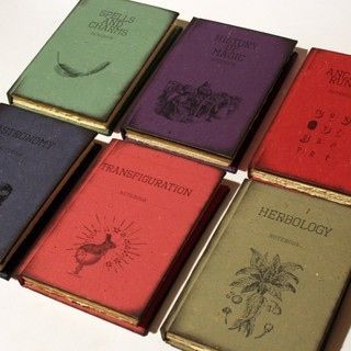 Harry Potter text books and 99 other things every Potter fan would want!