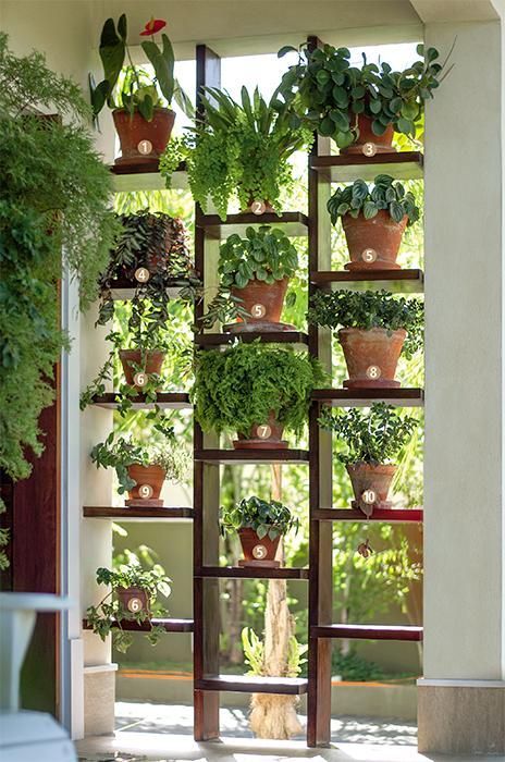 Love this indoor vertical garden!  Could be a great idea to create a privacy wall on a balcony, deck or terrace!