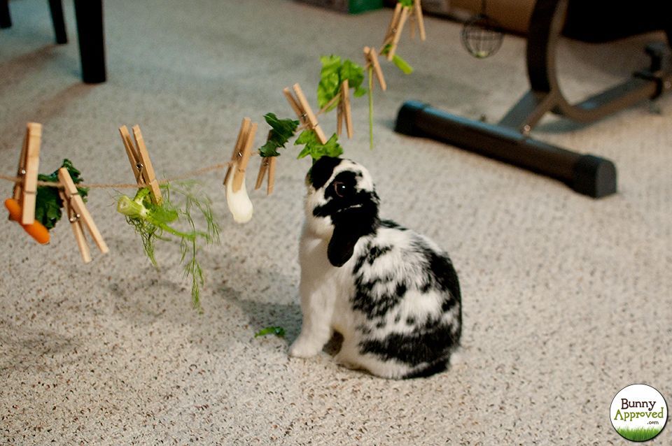 Sisal string, clothespins, and vegetables make for a very happy Bunny! This DIY rabbit toy idea should keep those buns