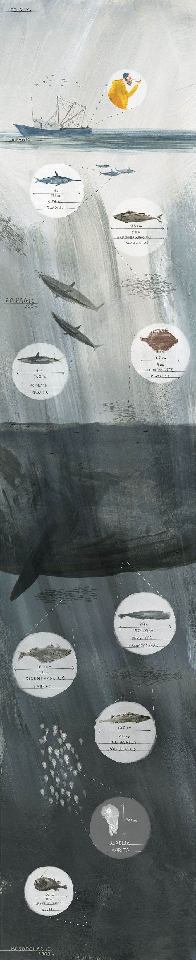 art, illustration, ocean, water, whale, fish, depths, //  Joe Todd Stanton.