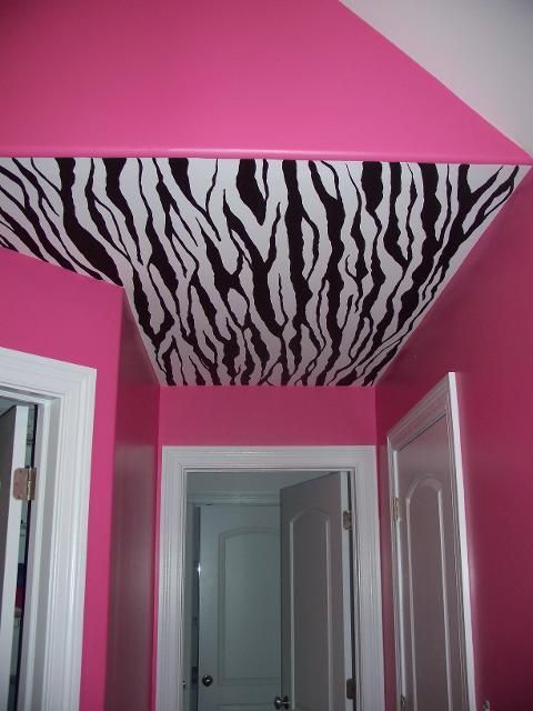 Hand Painted Zebra Stripes! Perfect for the girls room but replace the pink with purple!!!