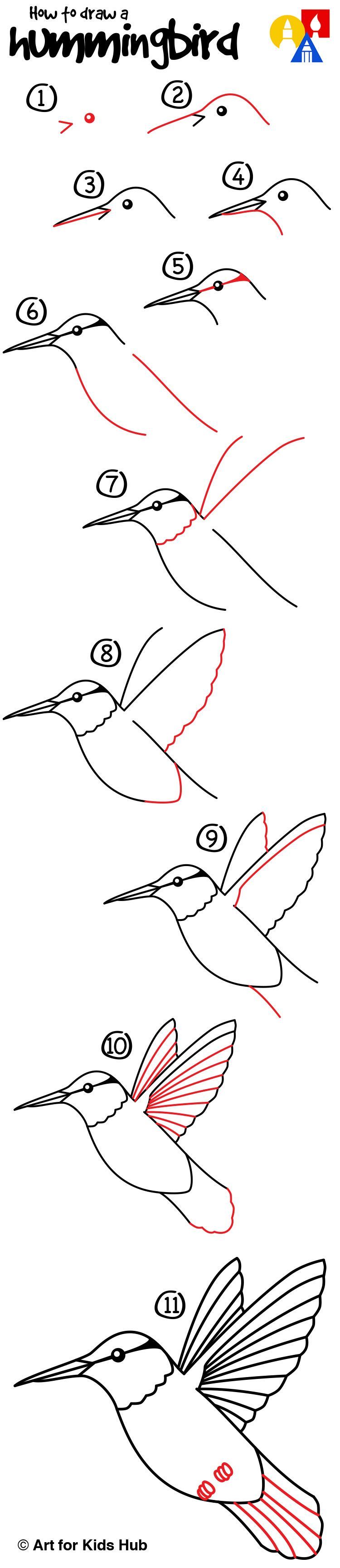How to draw a hummingbird!