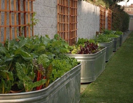 Raised garden beds have many advantages, ranging from saving wear and tear on your back to giving your plants better air