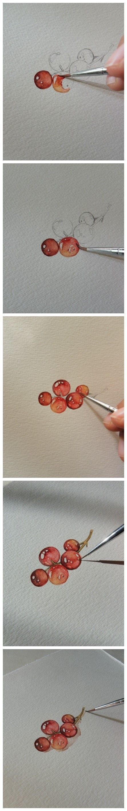 .Step by step simple watercolor. Its all about maintaining those light spaces…makes this pop.