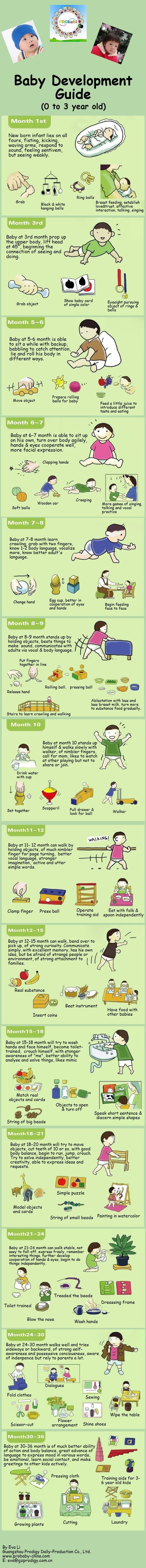 Baby Development Guide | @Piktochart #Infographic Editor