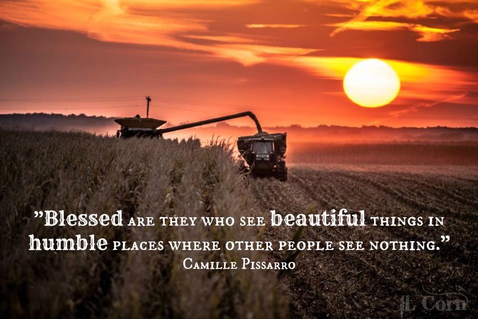 “Blessed are they who see beautiful things in humble places where other people see nothing.” -Camille Pissaro