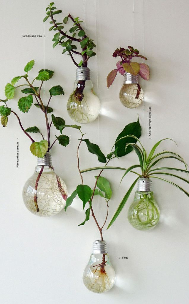 I dont love the article, but I love the plants in light bulbs! Hanging from a shelf or the ceiling in a corner would be even