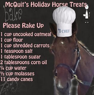 McQuits Holiday Horse Treats. How many does this serve? Thats a LOT of candy canes