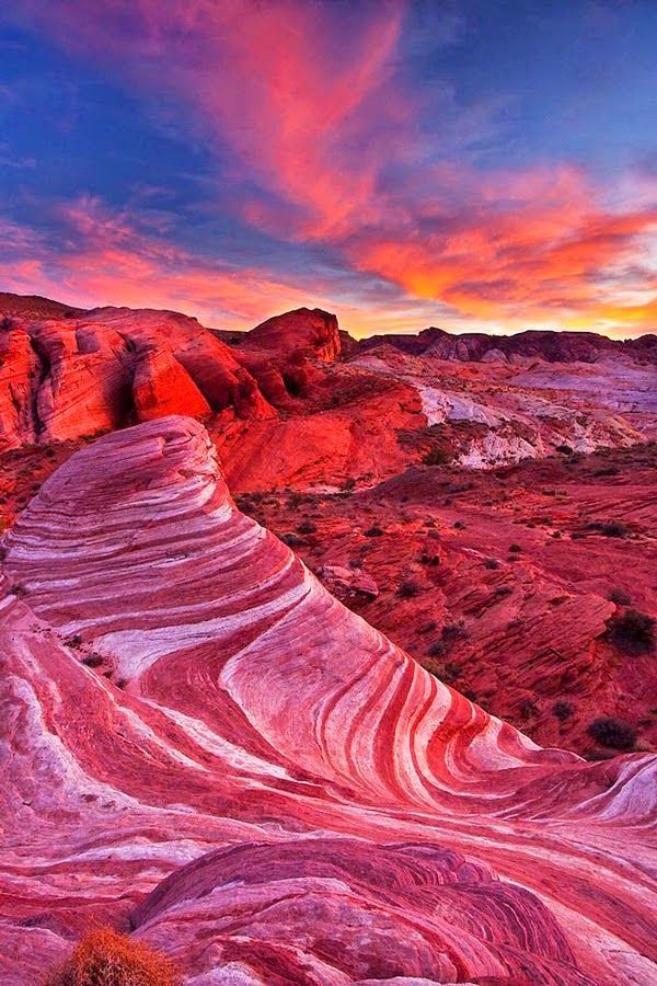 Sonoran Desert, Arizona United States… Looks like its another planet… #AmazingPlaces
